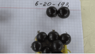 ГФ 6-20-193 Смородина чёрная